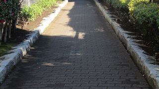 橋はありませんが・・・