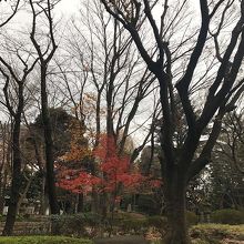 第代総理大臣だった高橋是清邸宅跡です By Garychef61 高橋是清翁記念公園のクチコミ フォートラベル 第代総理大臣だった高橋是清邸宅跡です By Garychef61 高橋是清翁記念公園のクチコミ フォートラベル