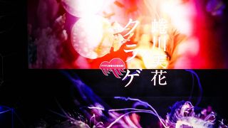 大人が落ち着ける水族館