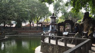 想像以上に良い！