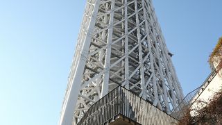 近くで見ると首が痛くなるくらい高いのにやっぱり驚かされますね。