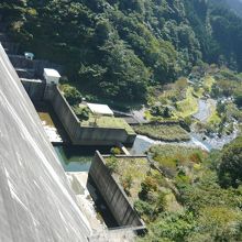 堤体上から下流側を望む