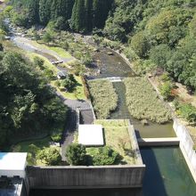 堤体上から下流側を望む