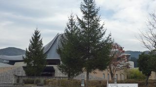 屋根のデザインがユニークです