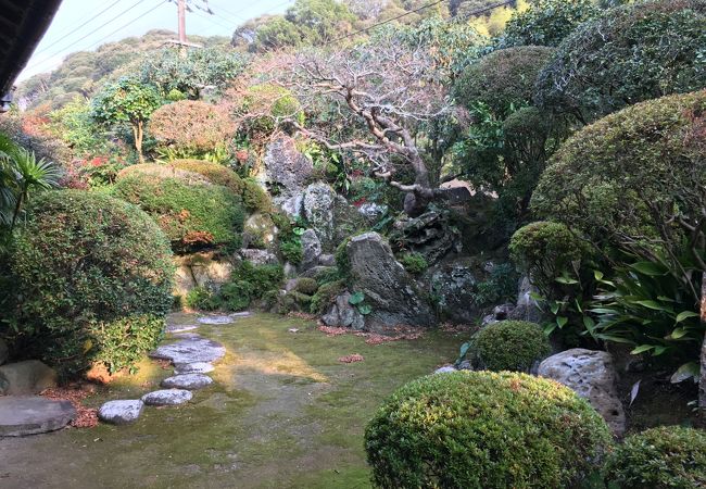 江戸の庭園です