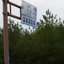 フェリー乗り場のそば