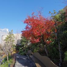 なんばパークス