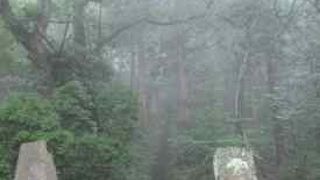 霧が神秘的な感じ