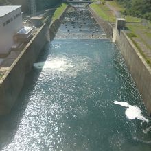 ダム堤体内展示室からの眺め