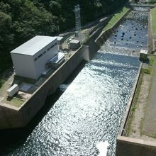 ダム堤体上から下流側を望む