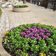 吾妻橋から言問橋への途中