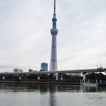 川向うに見えるスカイツリー