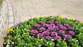 スカイツリーを間近に見ることができます