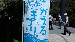 松本かえるまつり