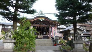 本堂の中にまねき猫が！