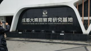 四川省のパンダ動物園