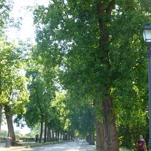 城壁の上の遊歩道