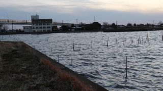 夕暮れに行くとちょっと怖い　かっぱさんに引きずり込まれるかもね。