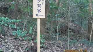 階段を登ります