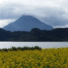 天気がよければなあ