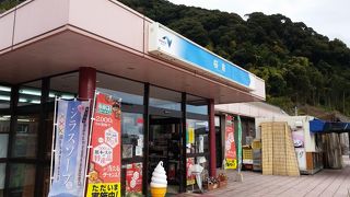 遠くに桜島が見えました