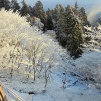 ホテルの周りには樹氷ができてました