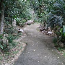 敷地内に入らせてもらって進んで行くと・・・