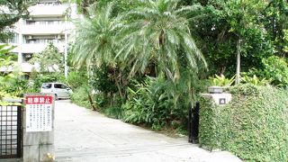 今も住宅地に深い森が・・・・