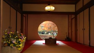 別途料金の価値あり