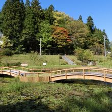 橋も架かっている公園