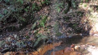 中山寺から中山最高峰(2)に登りました