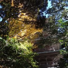 五重塔がありました。