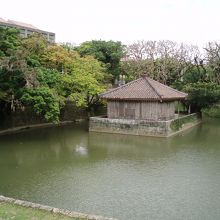 池の中には弁財天堂が佇んでます。