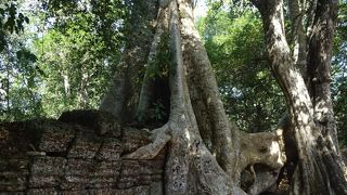 一番好きな遺跡