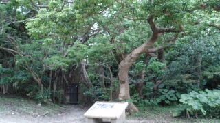 是非ここにも足を運んで下さい！！！