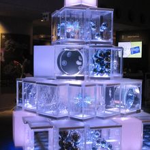 クラゲツリー？