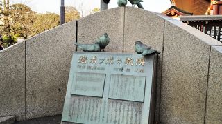 鳩の姿は減りました