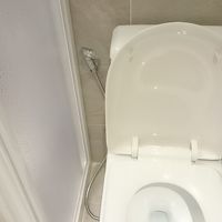 トイレ綺麗だけと、ティッシュは流せません