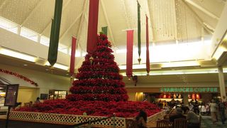 一番小さなサイズはトール ♪