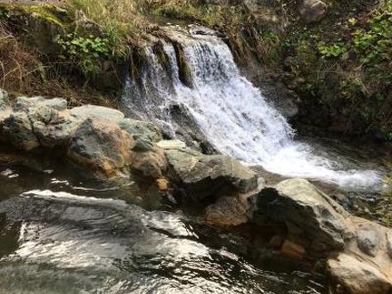 藤の森不動温泉　だるま湯 写真