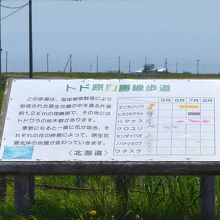 大自然の中に来ていることが実感できます。