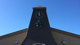 カフェからの眺めは絶景