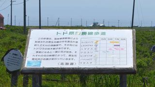 1時間もあればゆっくり遊歩道を散策できます。