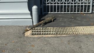 ウィマンメーク宮殿