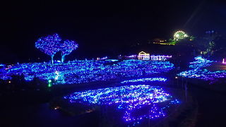 キラキラファーム