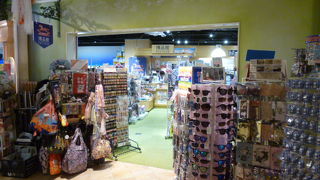 日本らいしいおもちゃが豊富。