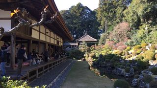 つつじの季節が良い