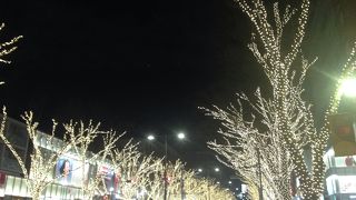 イルミネーションの大先輩