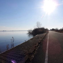 渡良瀬遊水地の風景