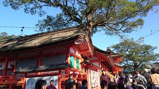 初詣に行きました